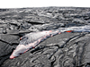 Lava flows inch toward the eastern boundary of Hawai'i Volcanoes National Park and then stall. 