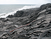 Lava reaches the sea at Kupapa`u near the eastern boundary of Hawai`i Volcanoes National Park 